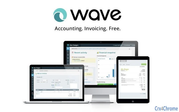 Wave Accounting Screenshot Image