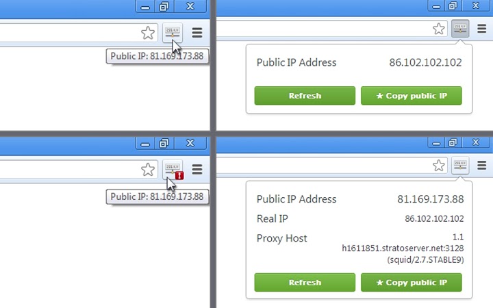 View IP address Screenshot Image
