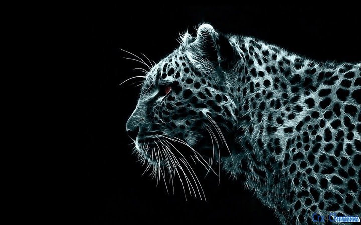 Black Background Tiger Theme Screenshot Image