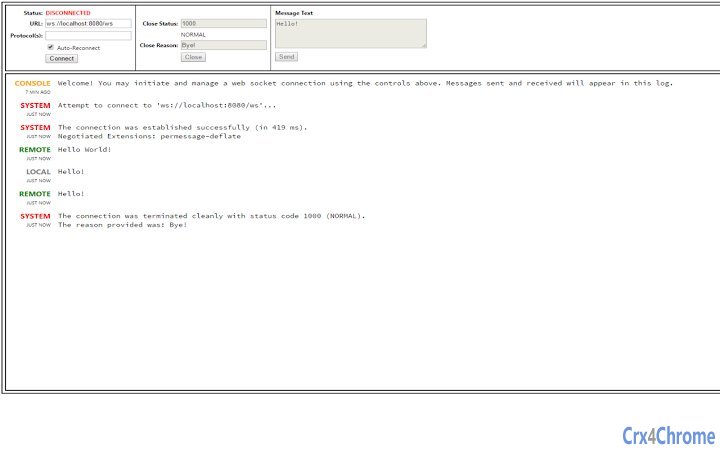 Web Socket Client Screenshot Image