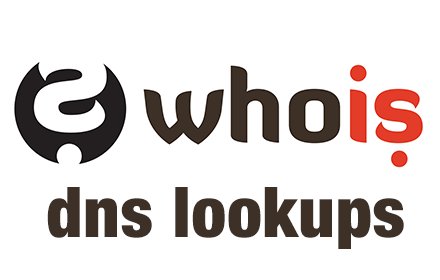 Whois One-Click DNS Lookup Image