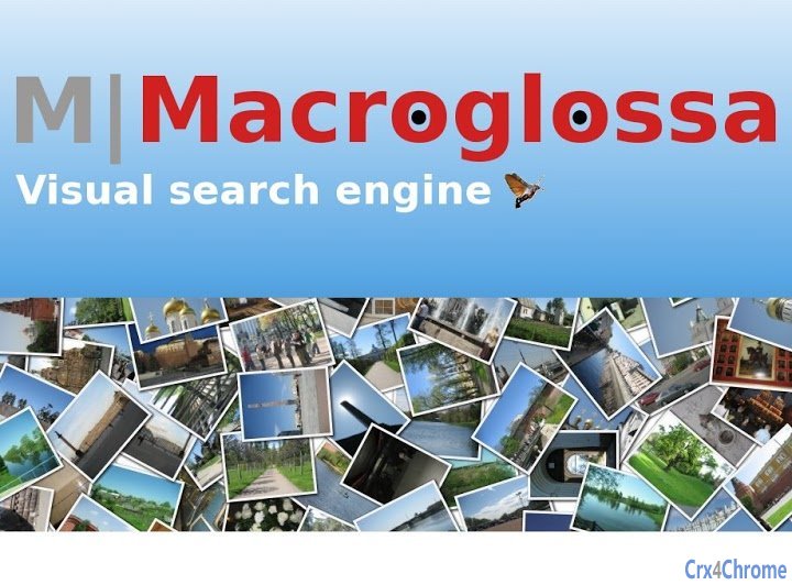 Macroglossa - Visual Search Plugin Image
