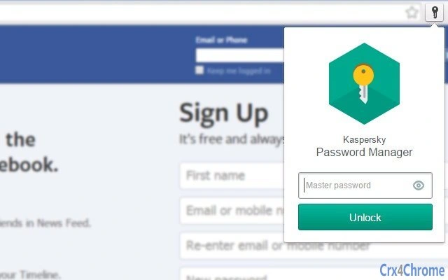 Kaspersky Password Manager Screenshot Image
