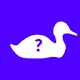 Duck Duck Google