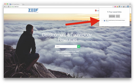 ZEEF.com Screenshot Image
