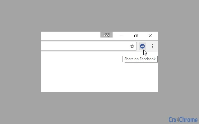 Facebook Share Button Screenshot Image