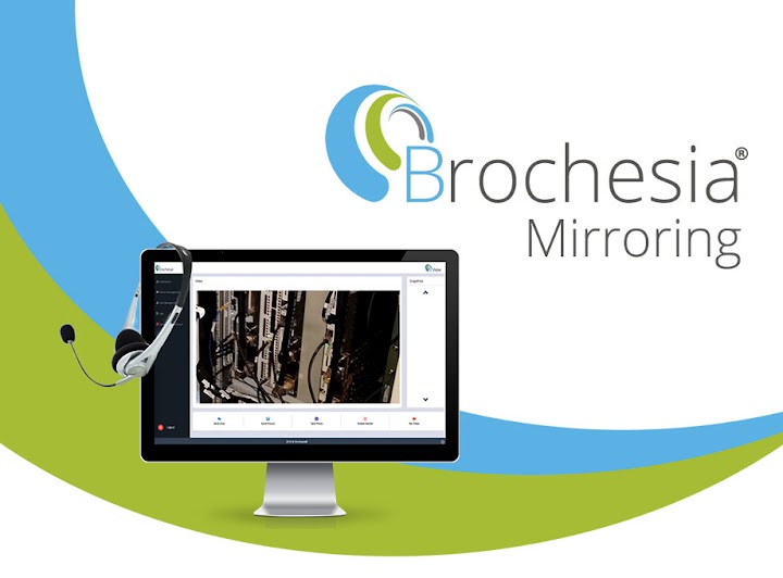 Brochesia Mirroring Image