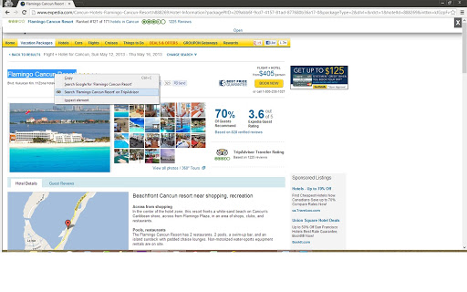 TripAdvisor Review Screenshot Image