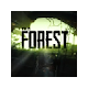 The Forest Themes & New Tab