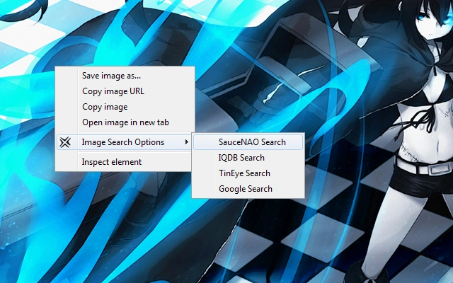 Image Search Options Screenshot Image