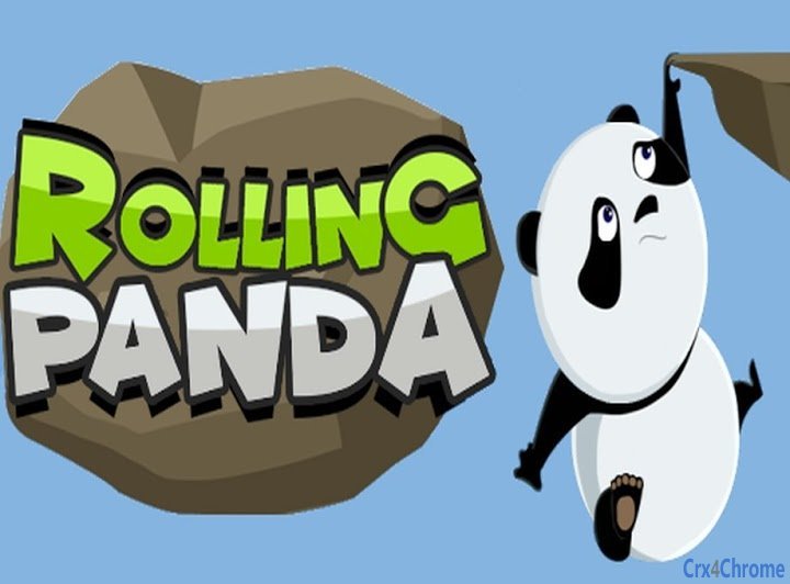 Rolling Panda Image