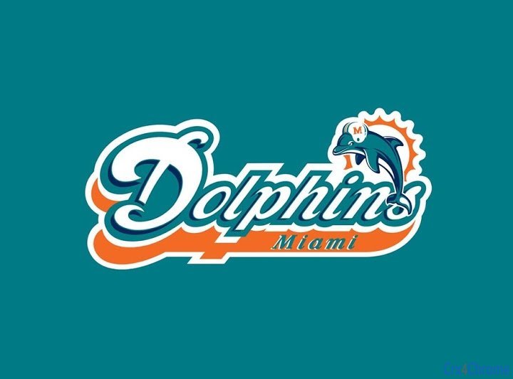 Miami Dolphins Tab Image
