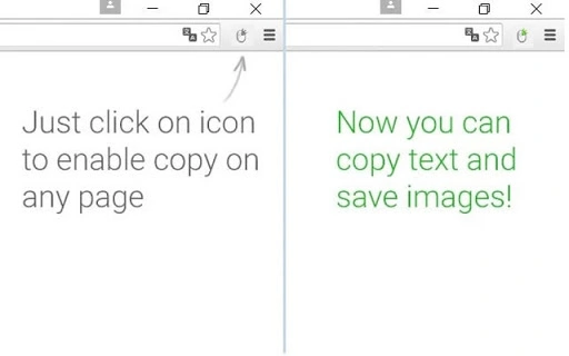 Enable Right Click and Copy Image