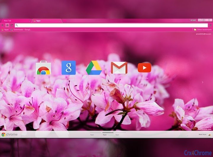 Pink Blossom Image