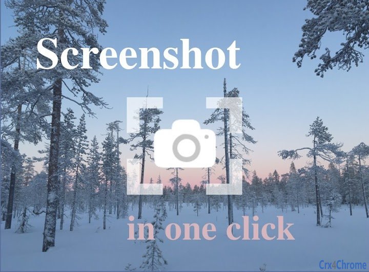 Make Screenshot and load to Cloud Image
