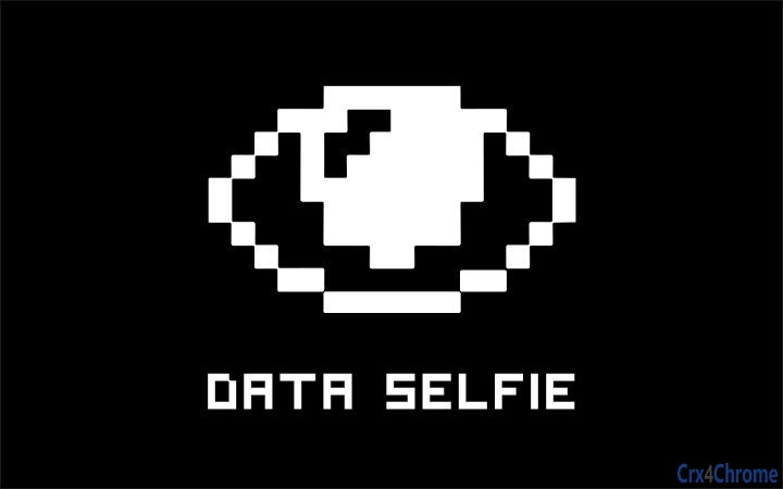 Data Selfie Screenshot Image