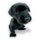 Replace Politics with this puppy Icon Image