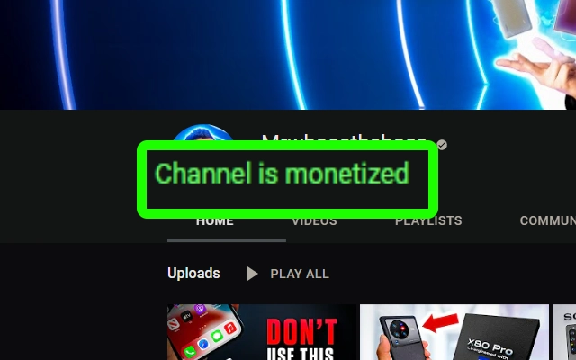 Is YouTube Channel Monetized? Screenshot Image