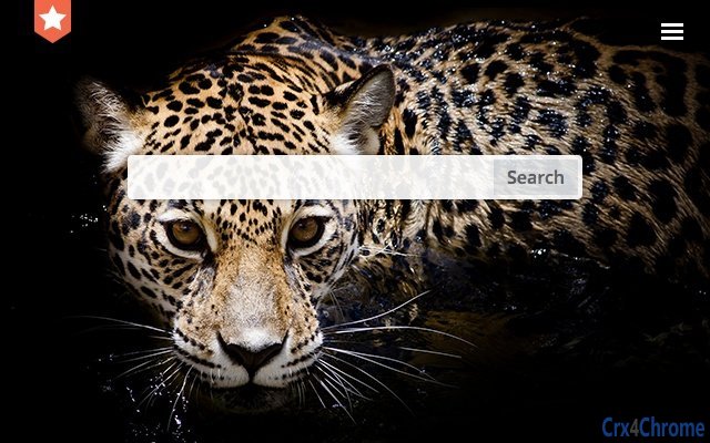 Cheetah. New tab Screenshot Image