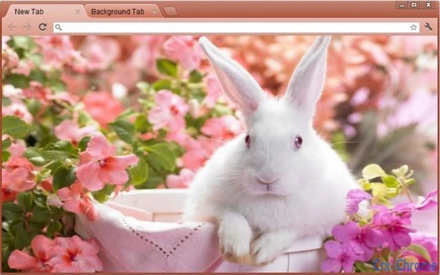 Bunny Screenshot Image