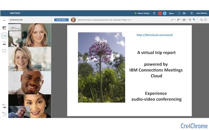 IBM Connections Cloud Meetings Screenshot Image