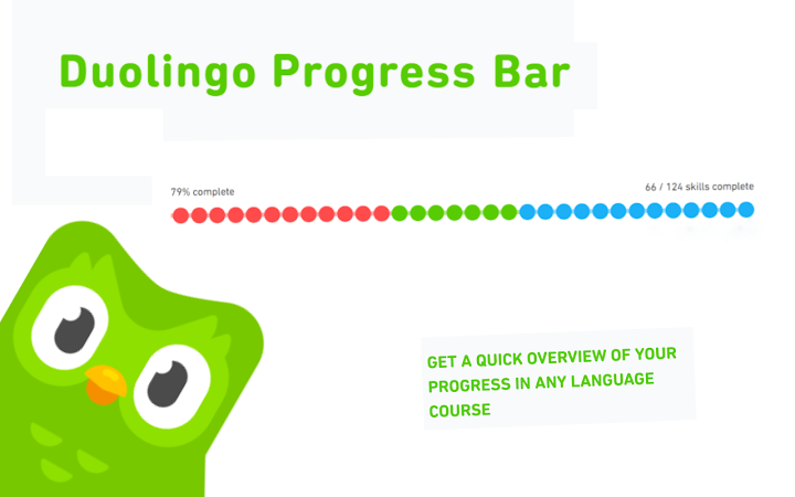 Duolingo Progress Bar Screenshot Image #1