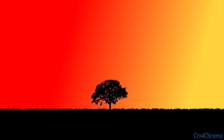 Tree at Sunset Screenshot Image