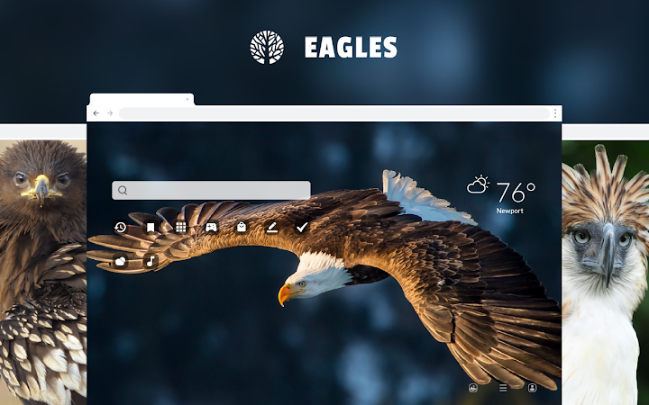 Eagles New Tab Screenshot Image