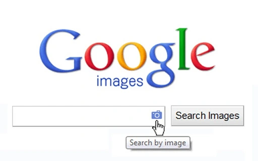 Search by Image Screenshot Image
