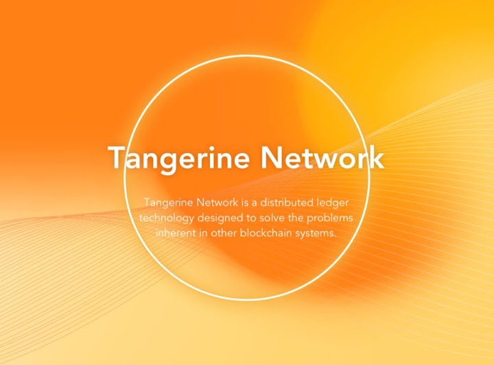 Tangerine Wallet Image