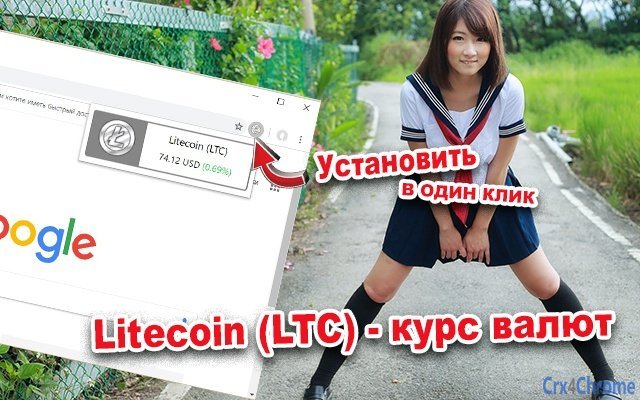 Litecoin (LTC) - Exchange Rate Screenshot Image #2