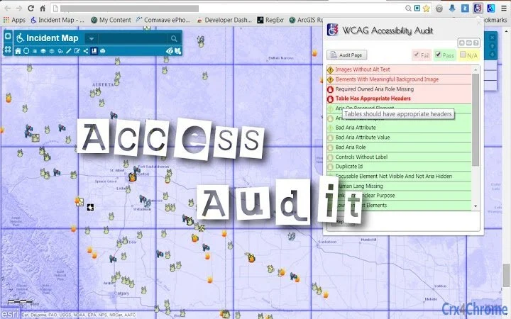 WCAG Accessibility Audit Developer UI Screenshot Image