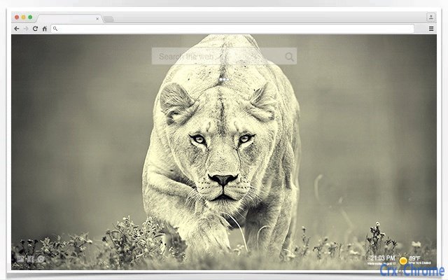 Lion Wallpapers New Tab Screenshot Image