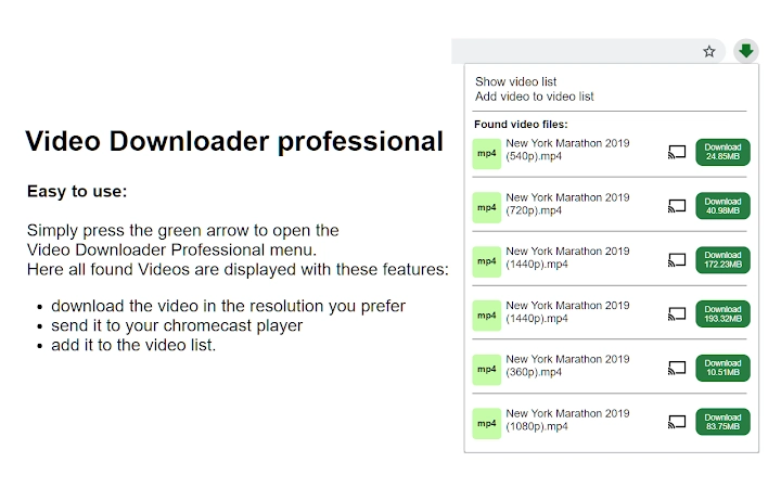 Video Downloader Professional Screenshot Image #1