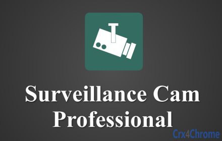 Surveillance Cam Professional Image