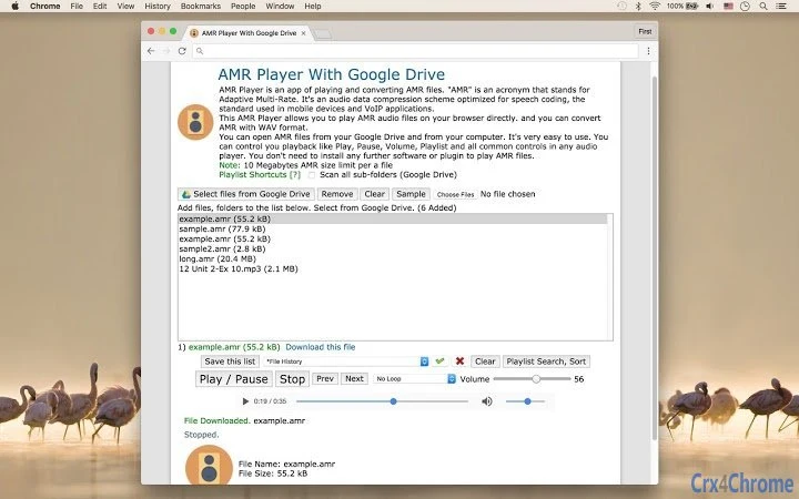 AMR Player With Google Drive Screenshot Image