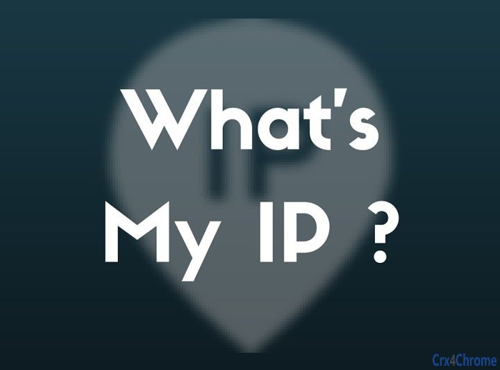 What's my IP address?