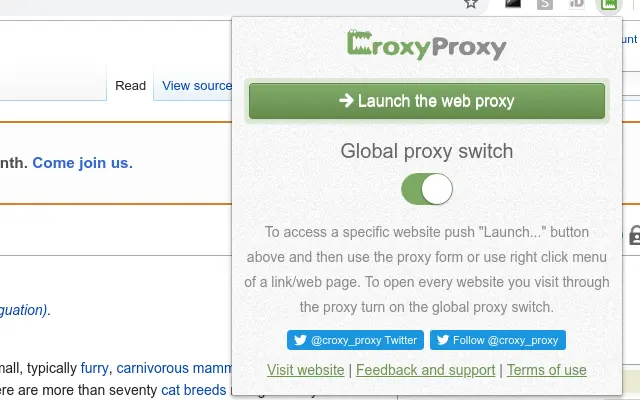 CroxyProxy Free Web Proxy Screenshot Image