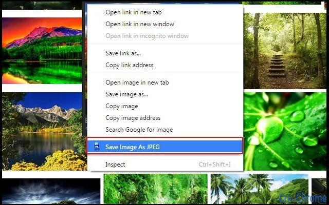 Save Image As JPEG Screenshot Image