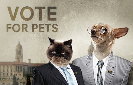Vote for Pets