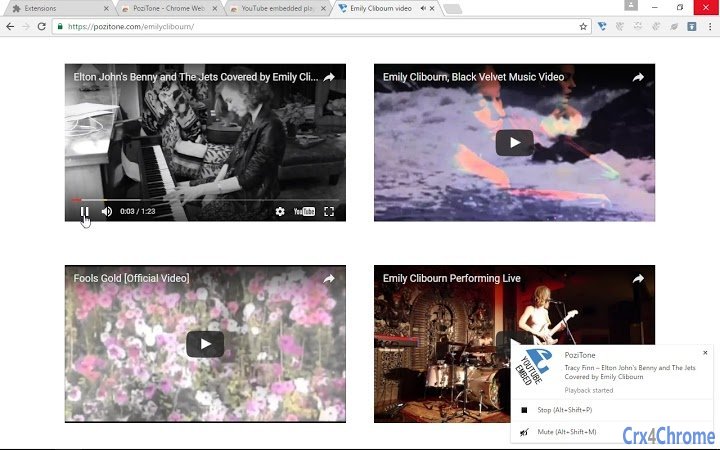 PoziTone Module for YouTube Embedded Player Screenshot Image