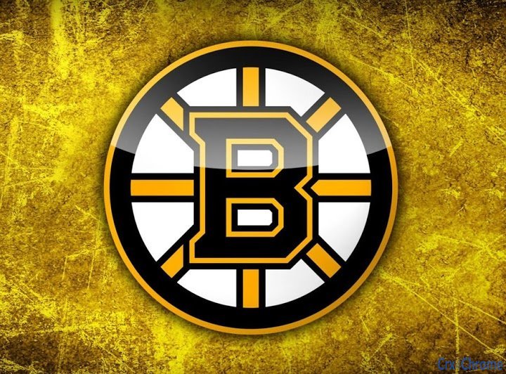 Boston Bruins Tab Image