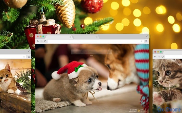 Christmas Puppies n Kittens Wallpapers Theme Screenshot Image