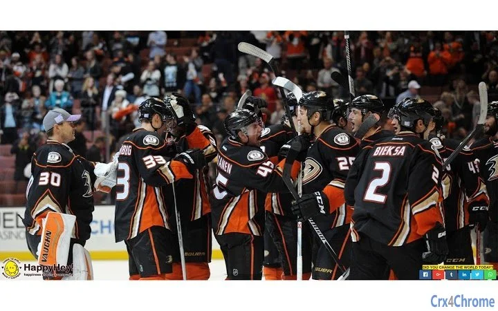 Anaheim Ducks Tab Screenshot Image